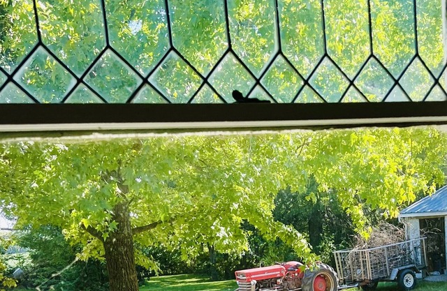 Tractors & Chickens, A Cheerful Retreat 30 minutes from KC