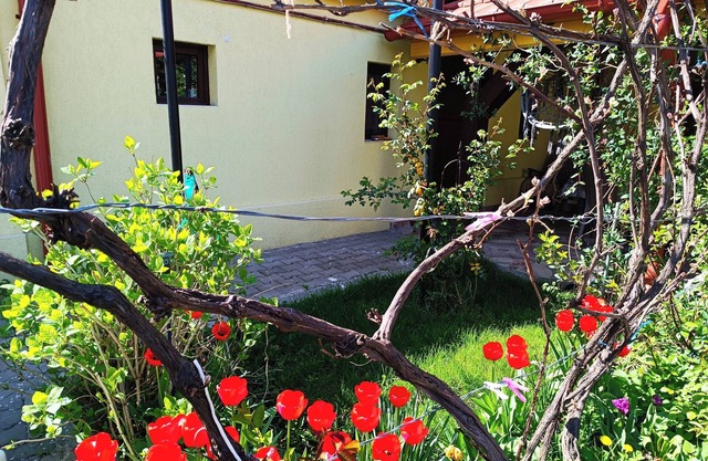 Tranquil building with WiF and parking, in Cisnădie, near Dracula's Castle.