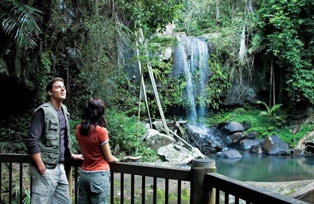 Tranquil Mountain Escape - Tamborine Mountain