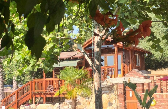 TREE CABIN FOR 2🌲Unique cabin close to San Luis Obispo, Morro Bay & Paso Robles