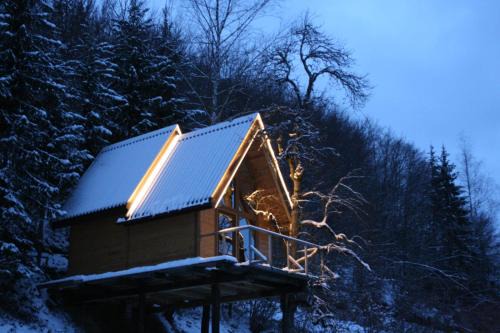 Tree house - Tara Place