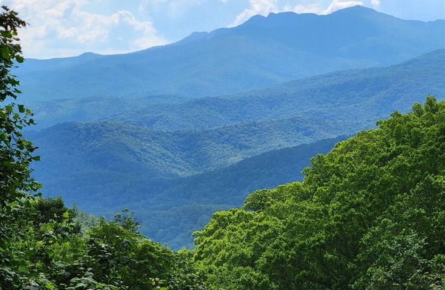 Treehaven 2BR/2.5 BA Upscale Home near Blowing Rock