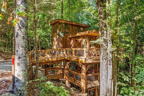 Treehouse - Amazonia - Red River Gorge KY