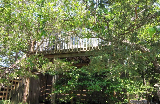 Treetop Oasis in the heart of Fair Harbor, Fire Island