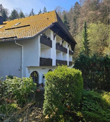 Triberg Falls Hideaway - Apartment 35