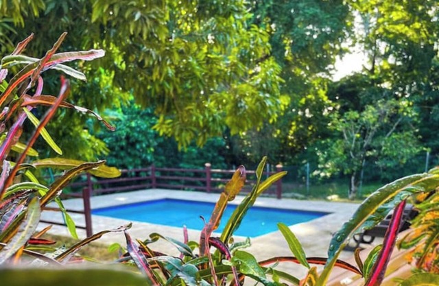 Tropical Apartments Tobago : Palm Apt 2