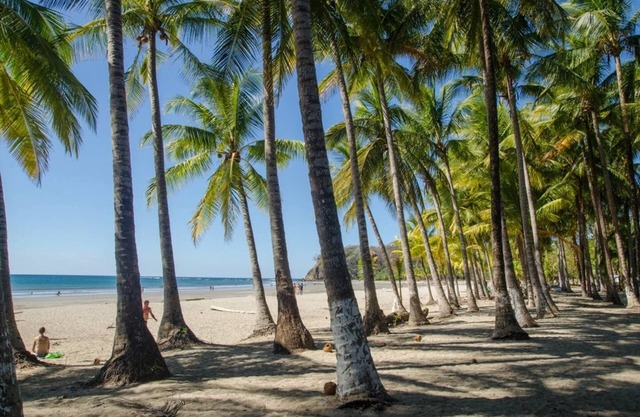 Tropical Casa 15 Min from Samara AC/BBQ/Pets Welcome,Tropical Garden.