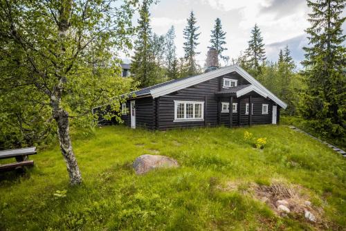 Trysilfjellet Sør 480