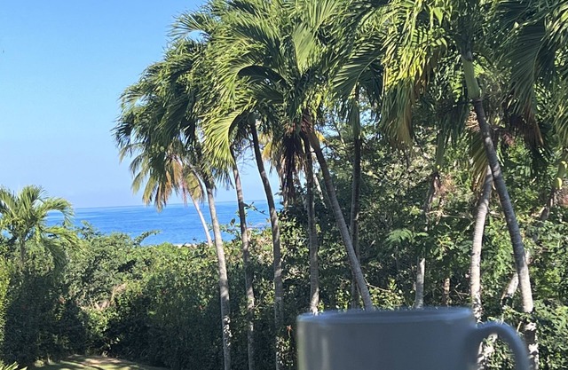 TURQUESA del MAR, private tropical oasis just steps to beach and town center!