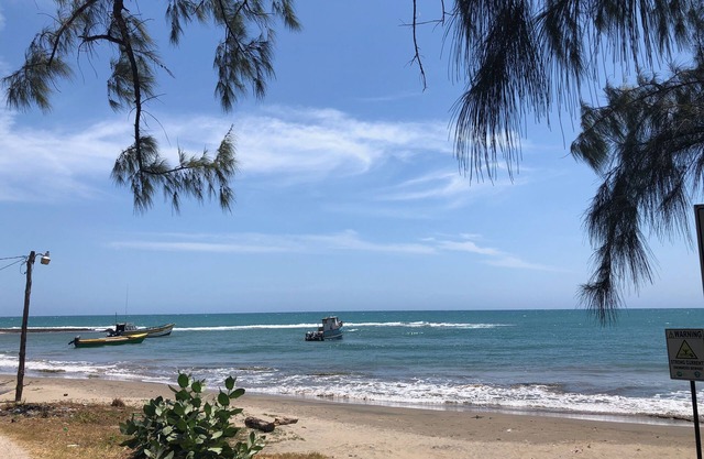 Turtles Nest Villa