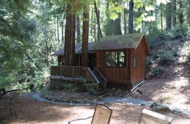 "Twin Trees" Cabin River Access In Redwoods WiFinn