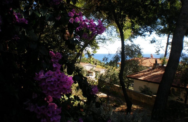 Two bedroom apartment with terrace and sea view Zavala, Hvar (A-8710-b)