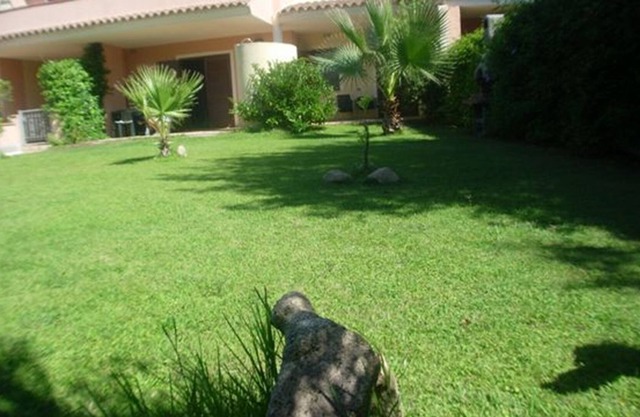 TWO-ROOM APARTMENT WITH GARDEN IN MURTA MARIA