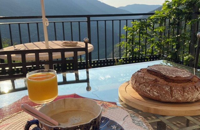 Typical Cévenole house with breathtaking views