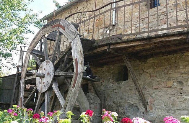 Typical farmhouse in Tuscany
