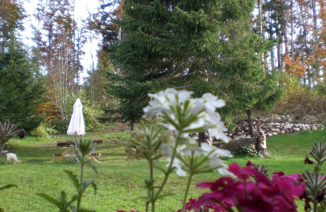 Typical Jura chalet