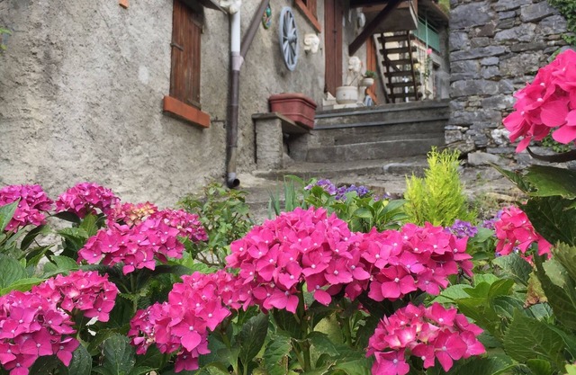 Typical Tuscany Village House, small private pool and relax