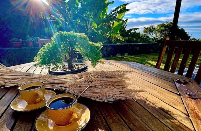 Ultra-Private home, tranquil 4-bedroom, 2.5 bathroom house on Terceira Island.