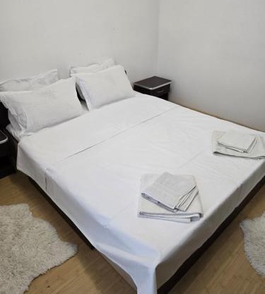 ULTRACENTRAL Apartment Cuza Voda