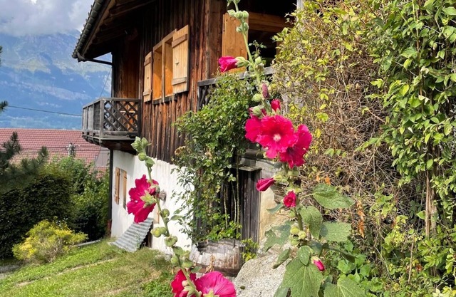 ULVA APARTMENT
