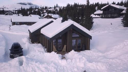 Unique cabin with fantastic lake view, sauna, ski & EV outlet