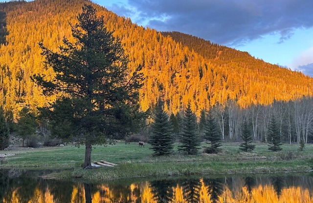 Unique Glamping Experience