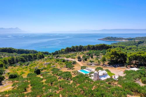Unique villa in olive field with salted swimming pool-Villa Frida