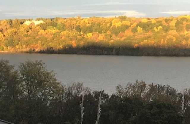 Unit 1 Hudson RiverView Sleeps 4 4213344- Queen Bedroom 1 pullout