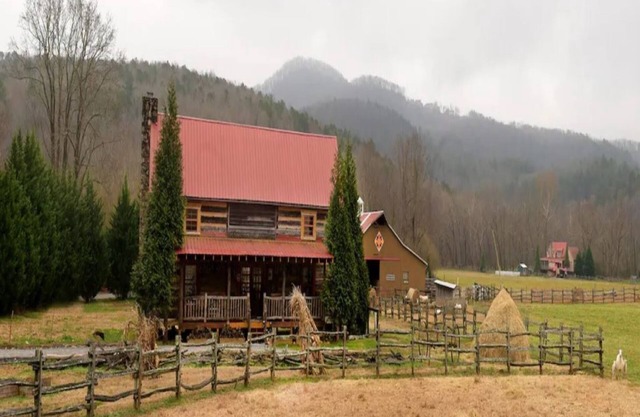 Unplug & Recharge at “Visions of the Past” - our Rustic Cabin from 1844