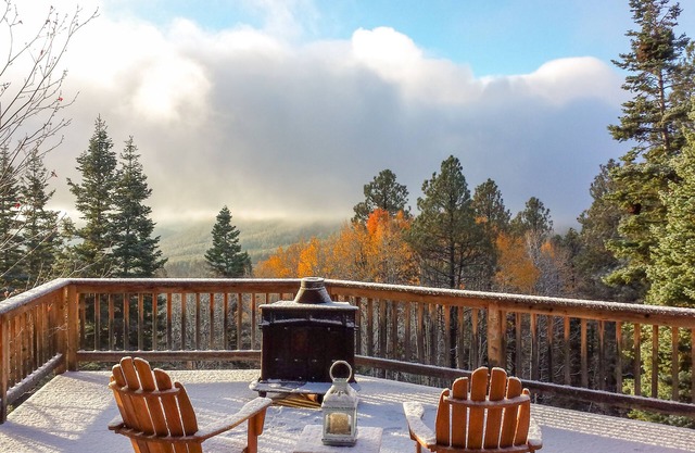 Unplugged dog-friendly getaway with tree-lined views