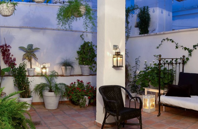 Urban oasis - grand and cosy