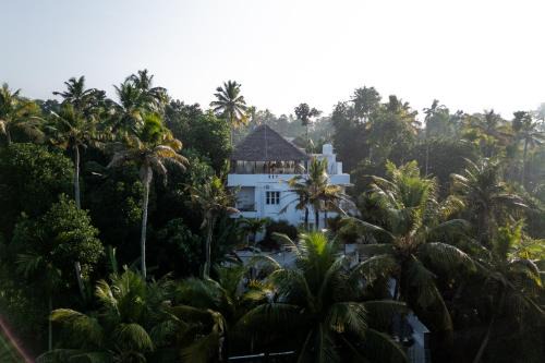 Utopia Varkala - Boutique stay in Odayam rice fields