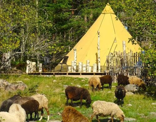 Västeräng Glamping