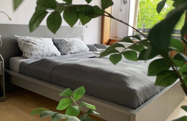 Vacation apartment in Freudenstadt-Kniebis II, Black Forest