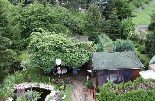 Vacation apartment Sauer (Standard Apartment)
