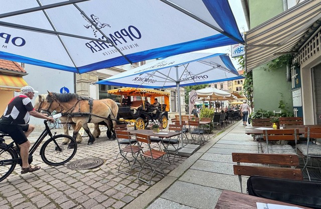 Vacation apartments in the Elbe Valley