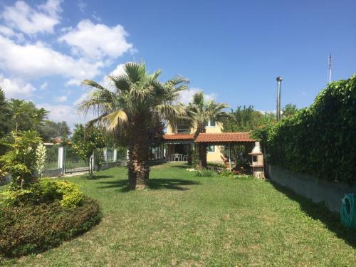 Vacation Home Eva