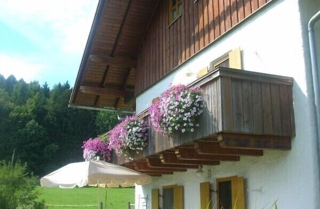 Vacation on a bio-farm with a dog - quiet and relaxation in the Bavarian Forest