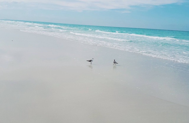 Varadero D'Amelia