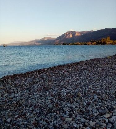 Vasiliki Apartments