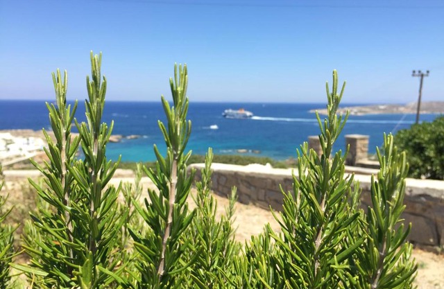 View House in Paroikia Paros
