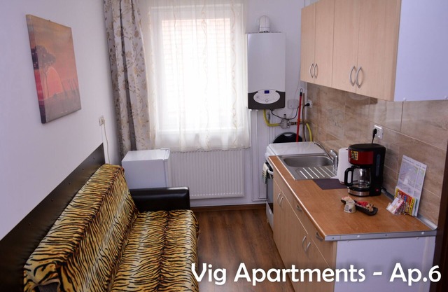 Vig Apartments Timisoara