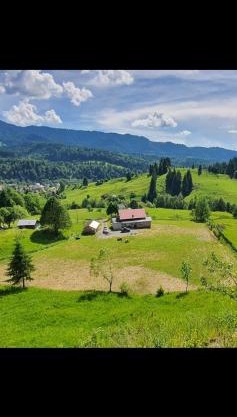 Vila Muntelui Colibita