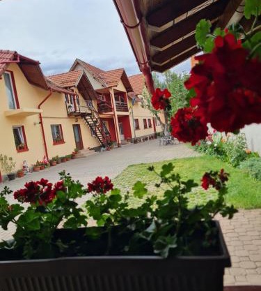Vila Vlăduț
