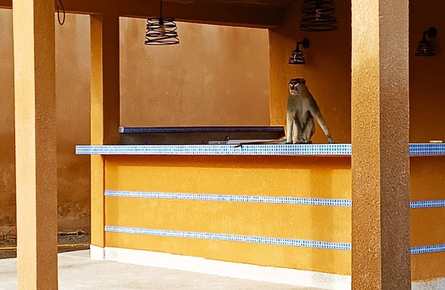 Villa Avec Piscine et Pool Housse Privatif