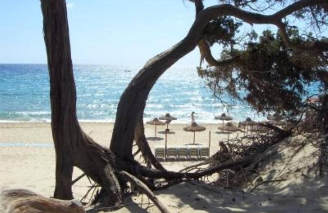 Villa Bea app. In Grande Chia you can walk to the "Dune Campana" beach.