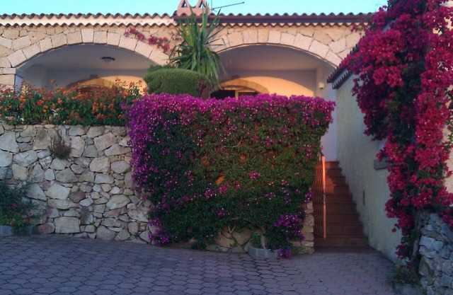 Villa beautiful sea view Cannigione Costa Smeralda independent garden