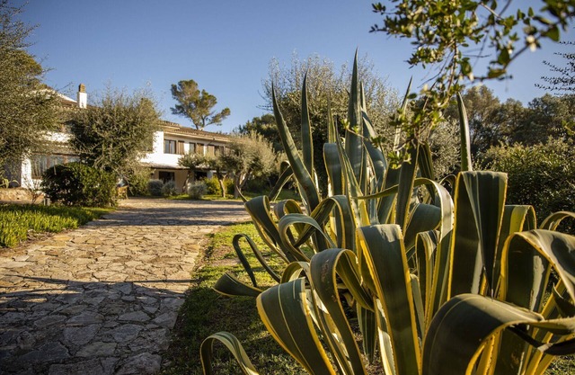 Villa Cosa - Ansedonia ,Tuscany