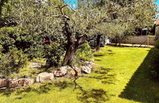 Villa D'exception en Occitanie : vos Vacances de Rêve!