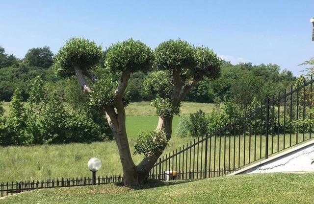 Villa Elisa Relax